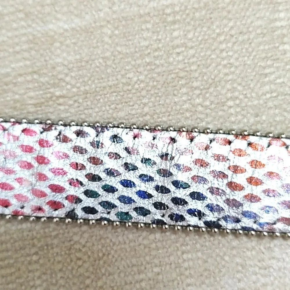 Sky Vintage Metallic Multi Colored Leather Belt Silver Buckle and Tip
